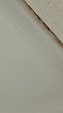 Mold