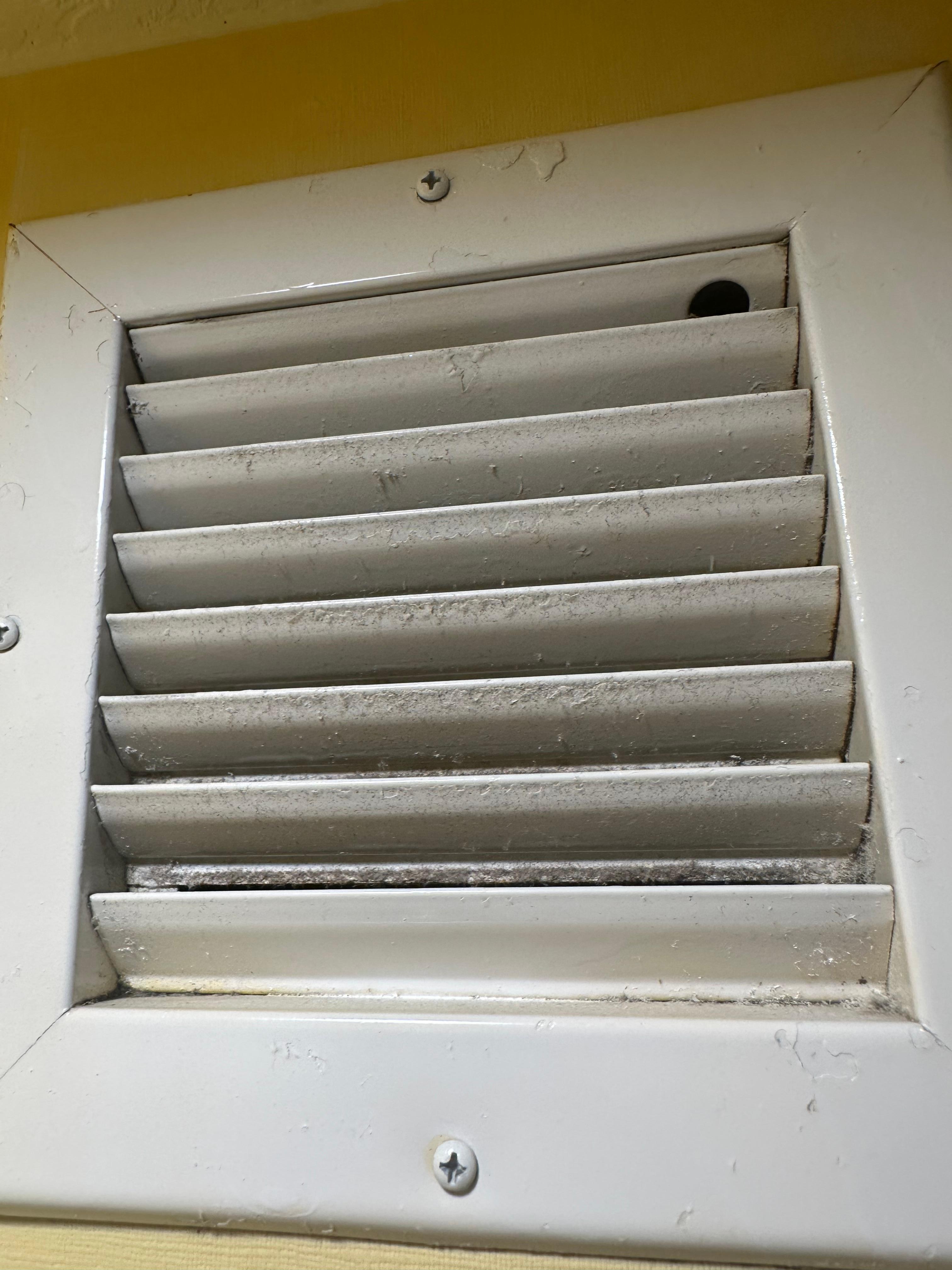Filthy vents