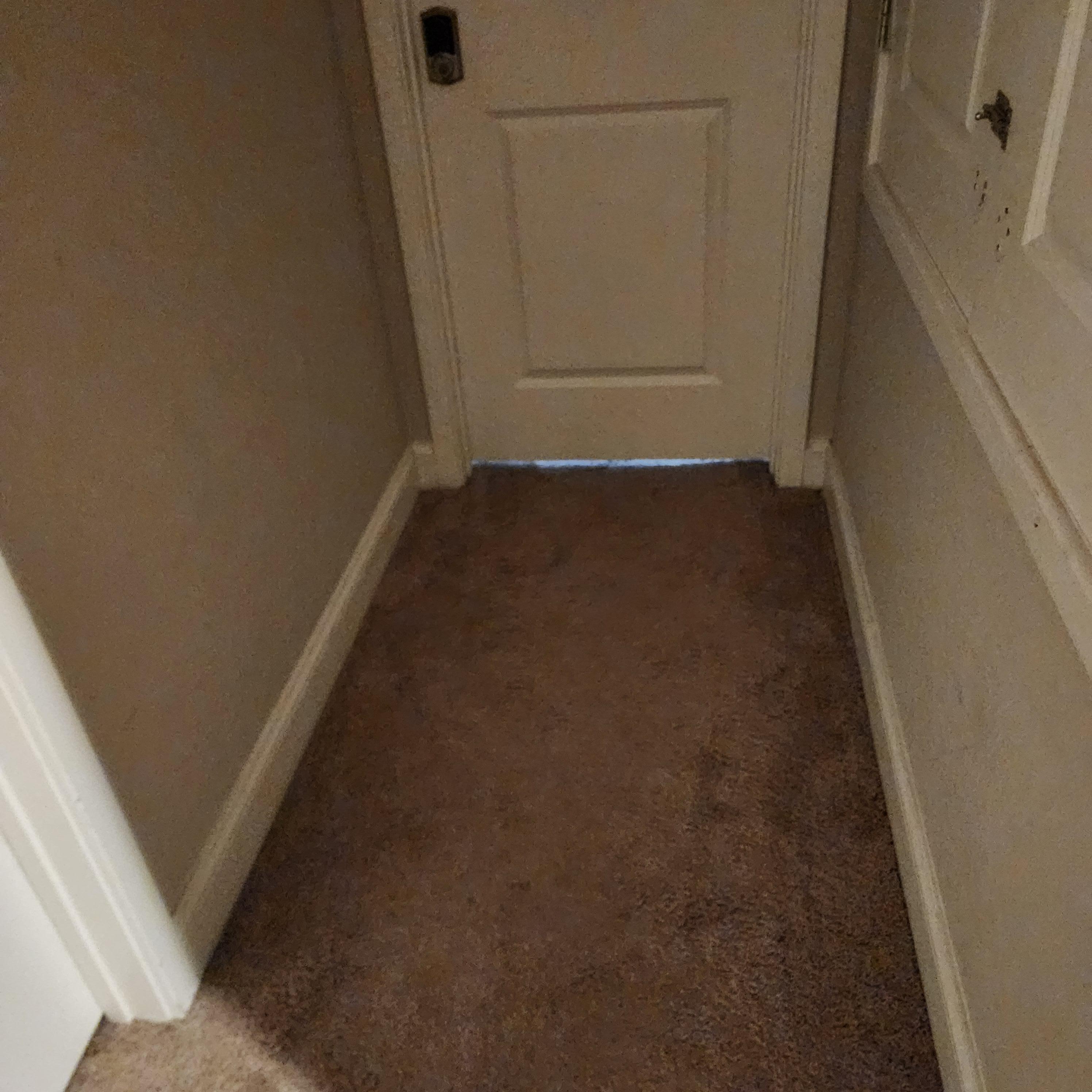 Owners room light mysteriously came on the second day of our visit, went off at some point the next day. Also view of dirty carpet
