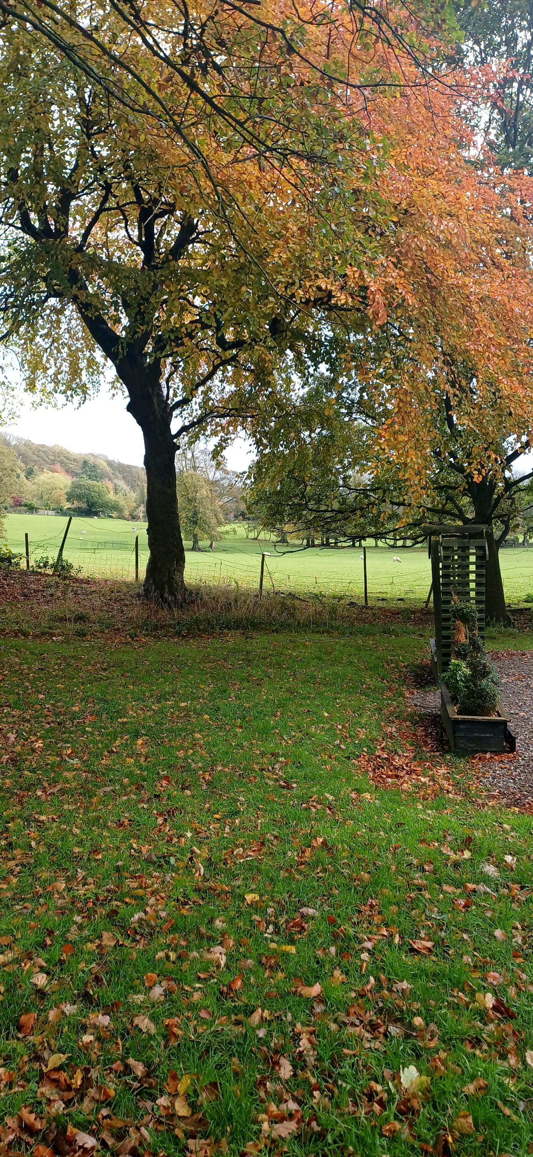 View from the front of the hotel