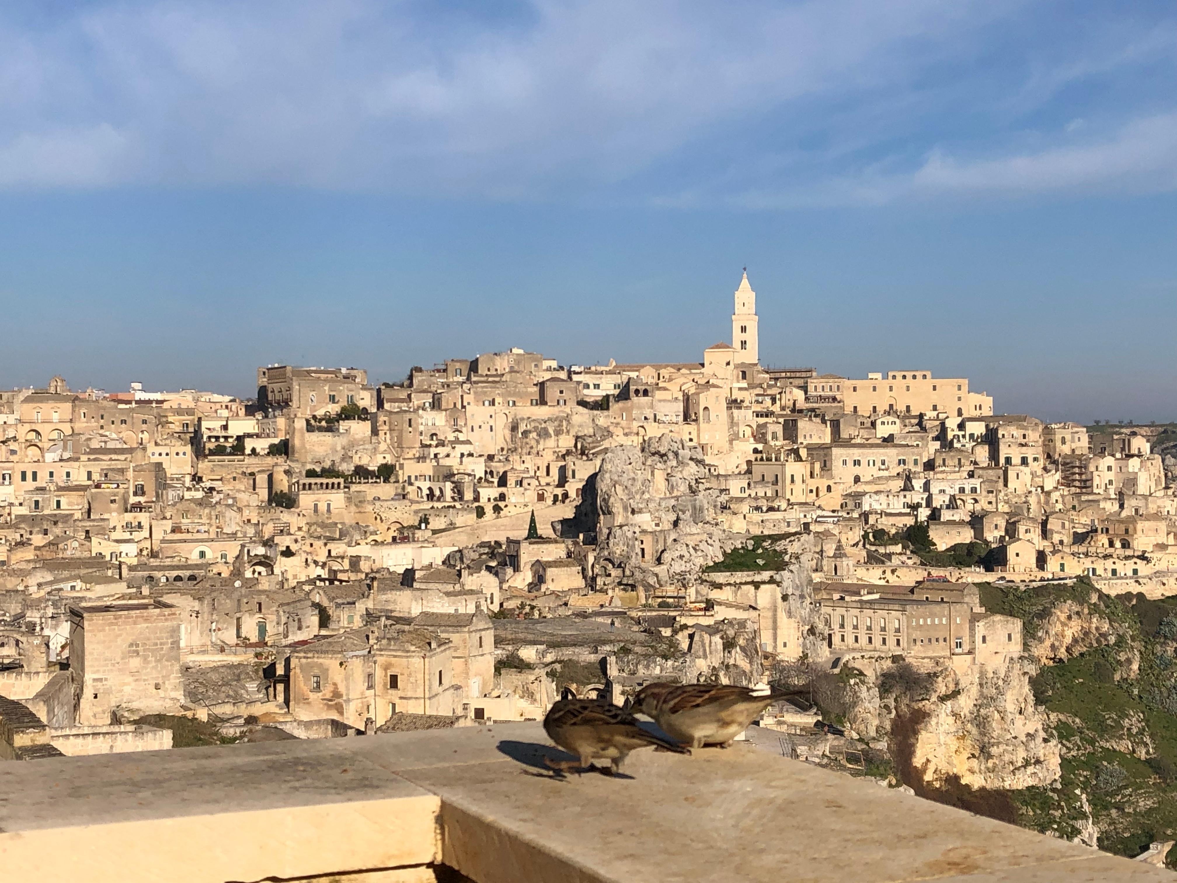 Dalla terrazza, anche gli uccellini gradiscono!