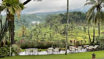 View from the Garden