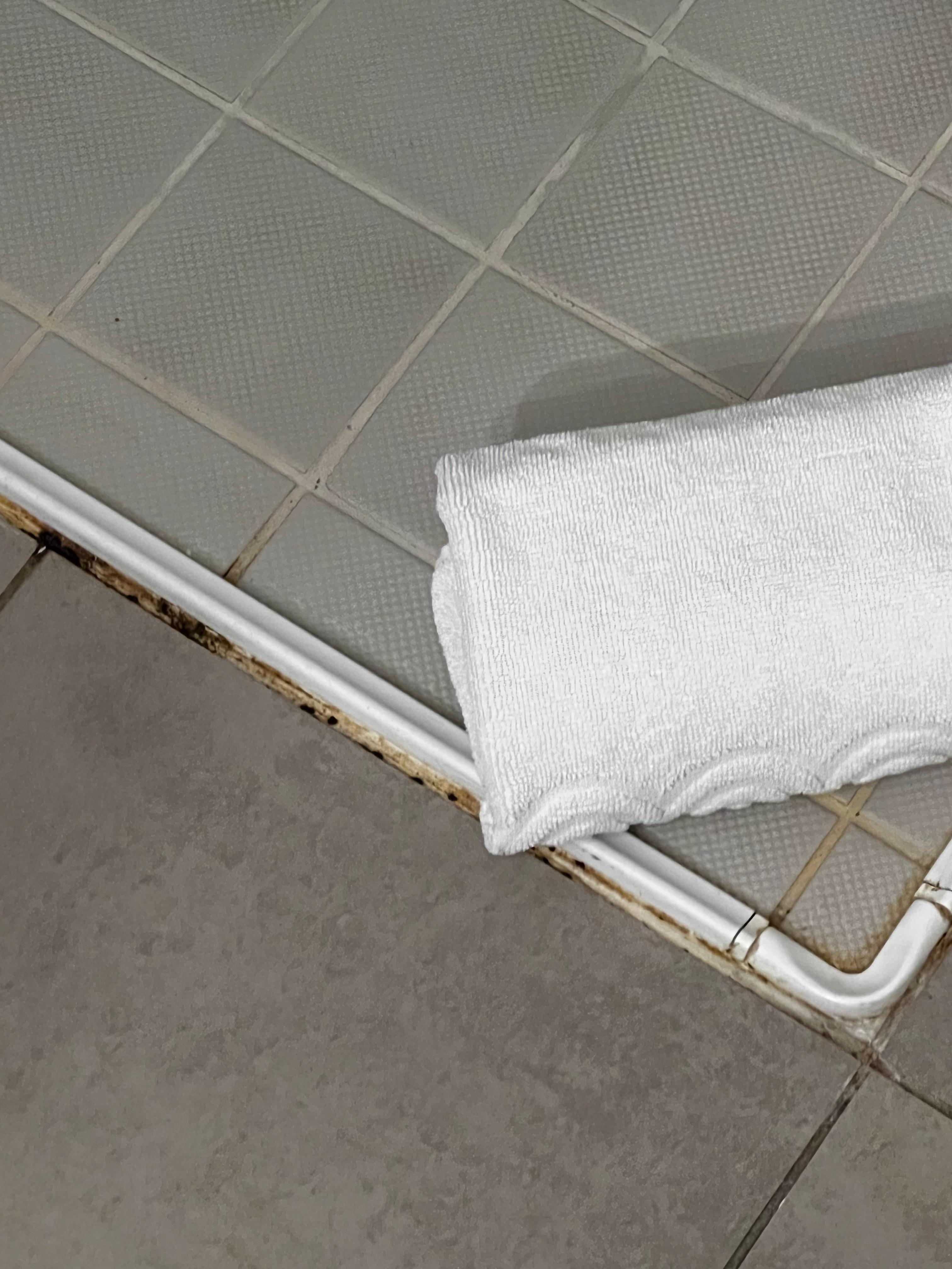 Shower floor