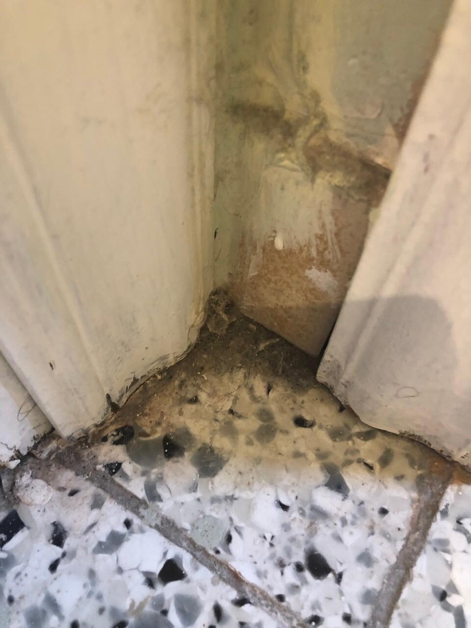Dirt on the floor