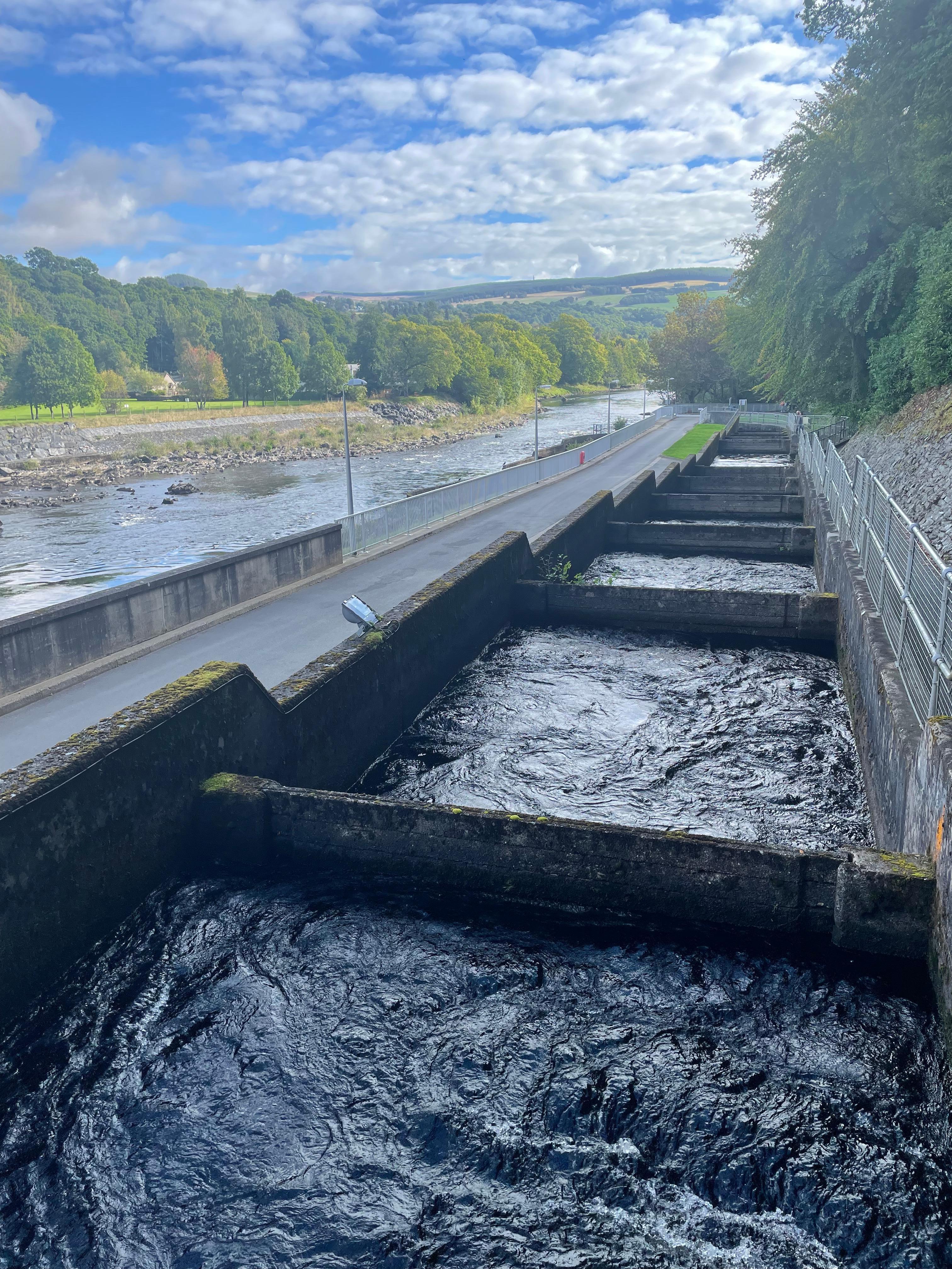 Fish ladder at the dam 