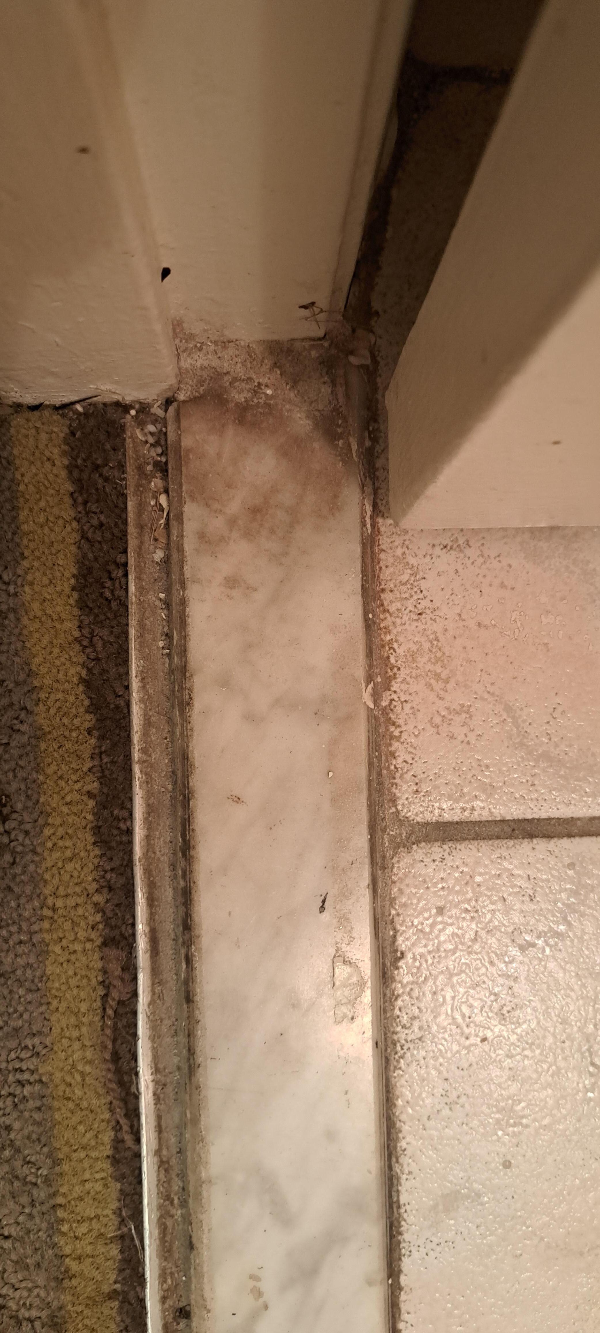 Bathroom floor