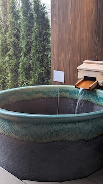 Onsen with tree screen