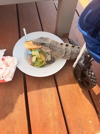 Teniamos un visitante