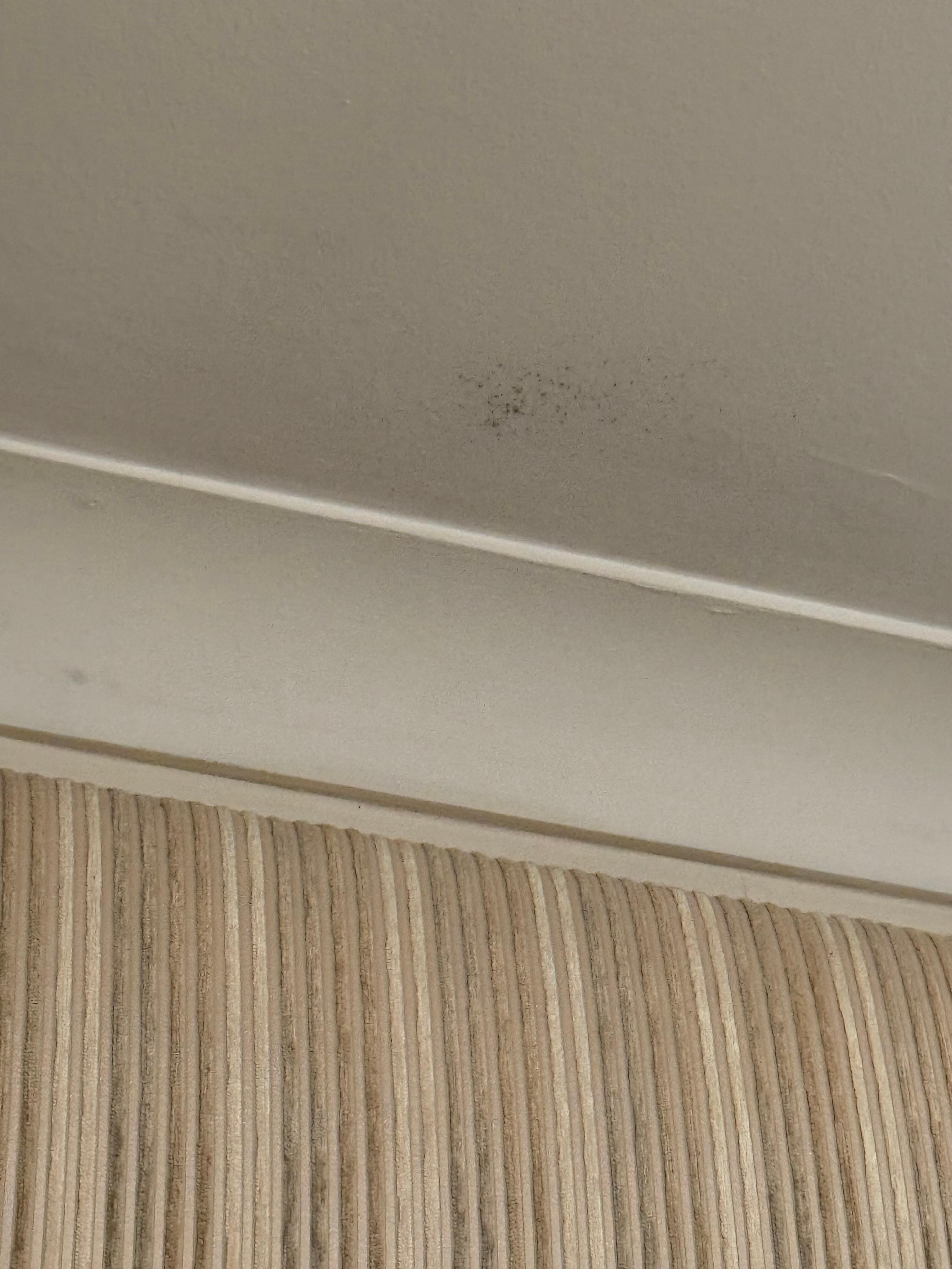 Mold on ceiling.