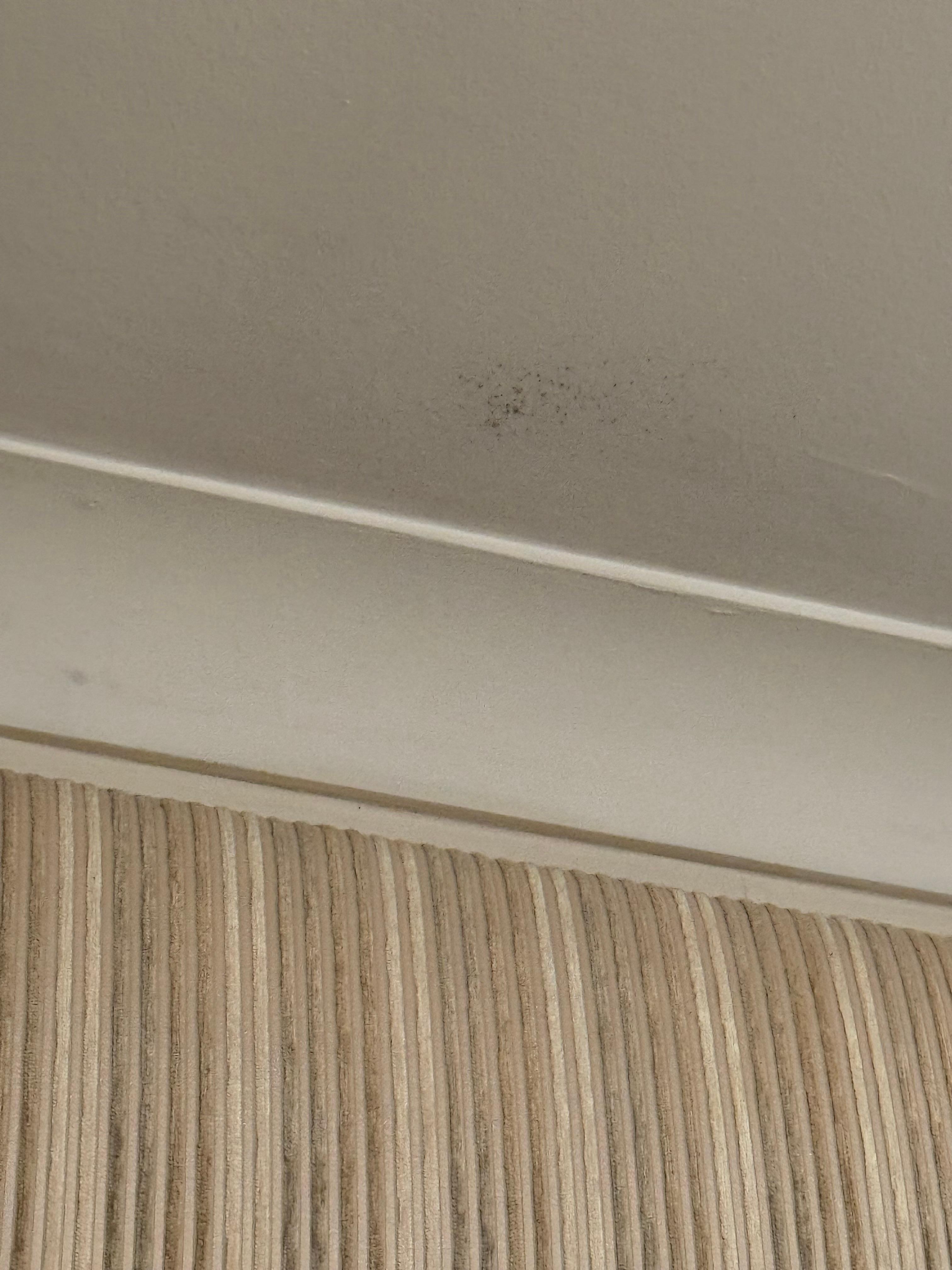 Mold on ceiling.