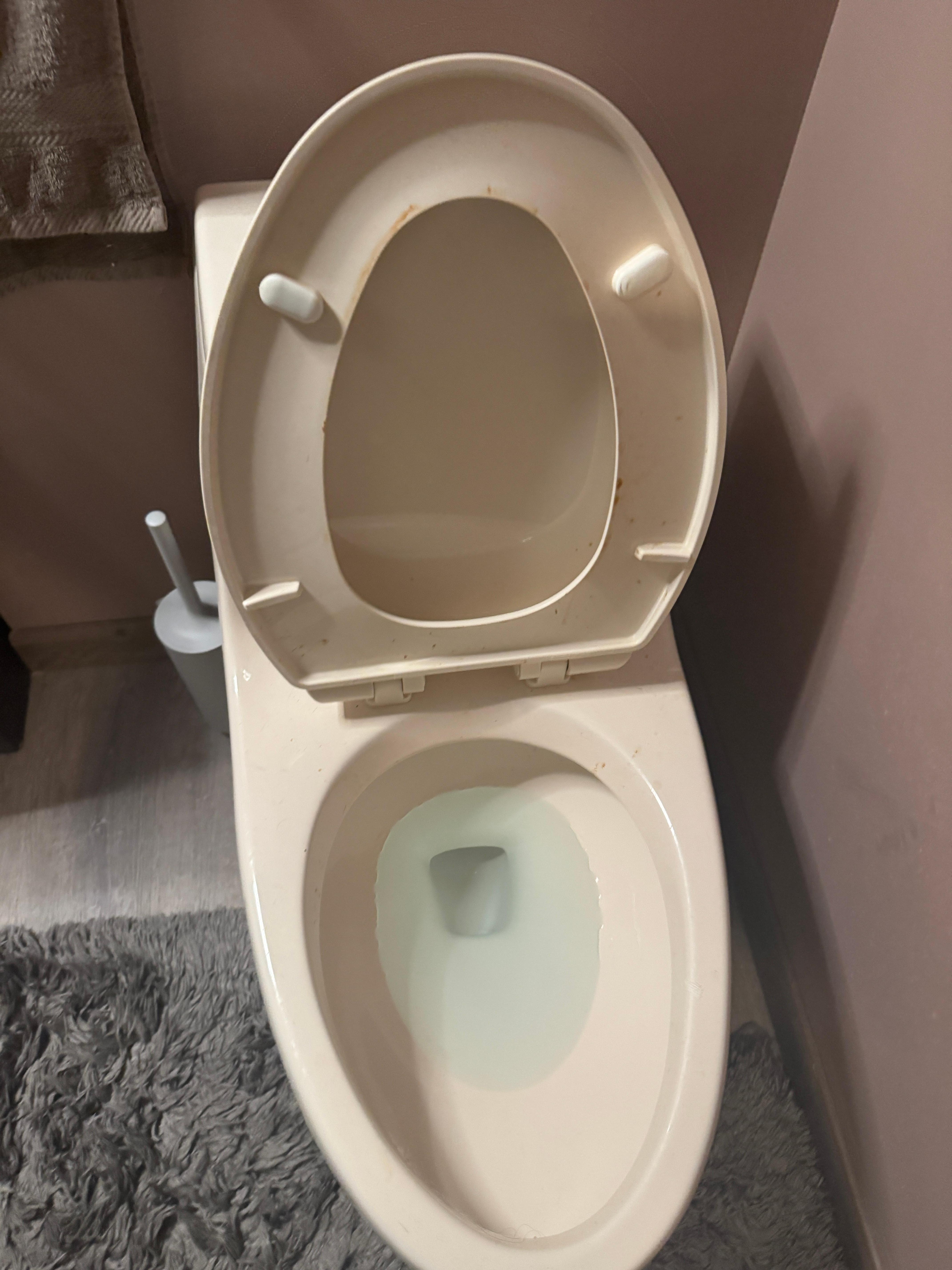 The toilet had dried urine on the rim.