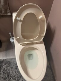The toilet had dried urine on the rim.