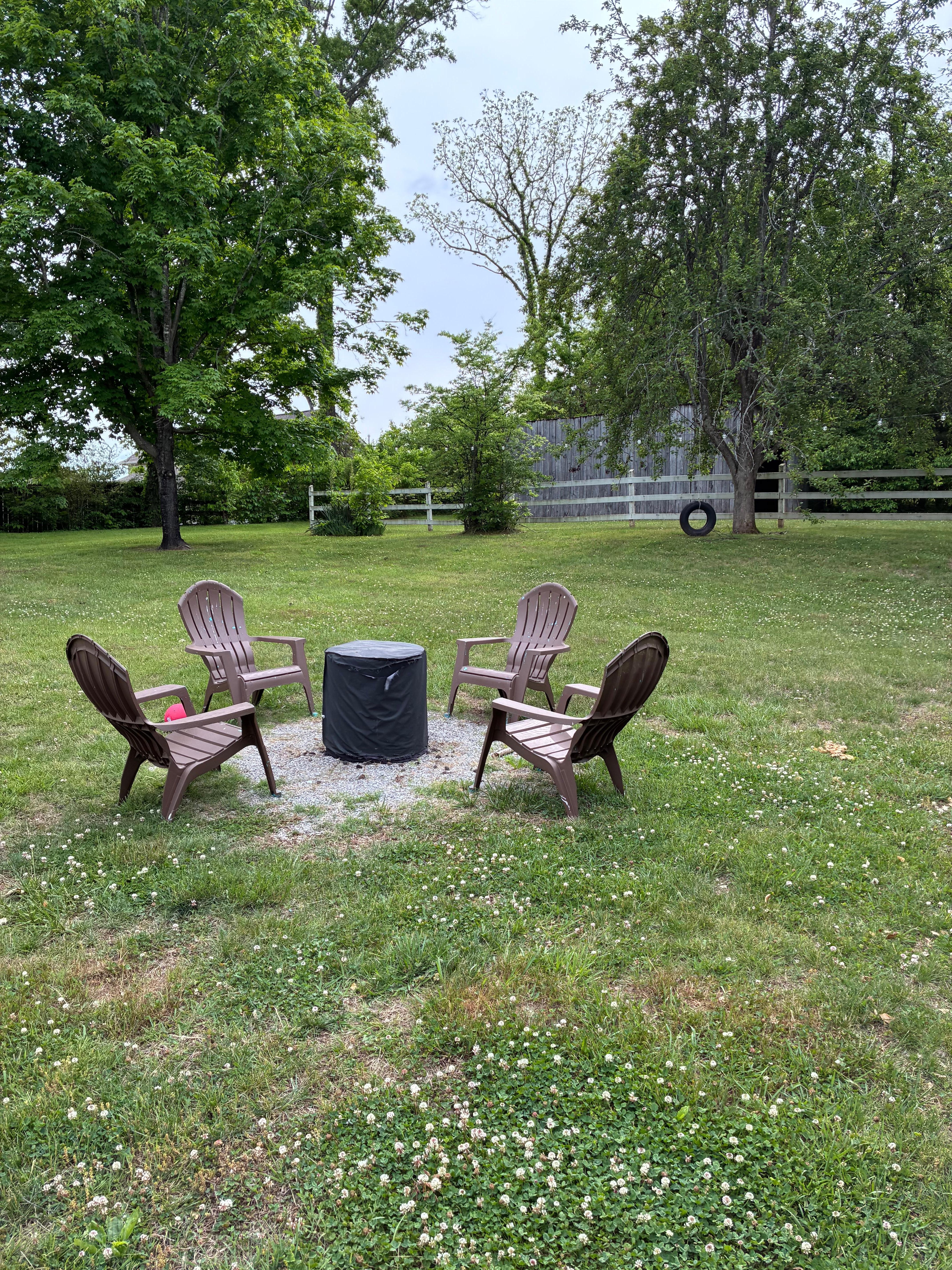Back yard 