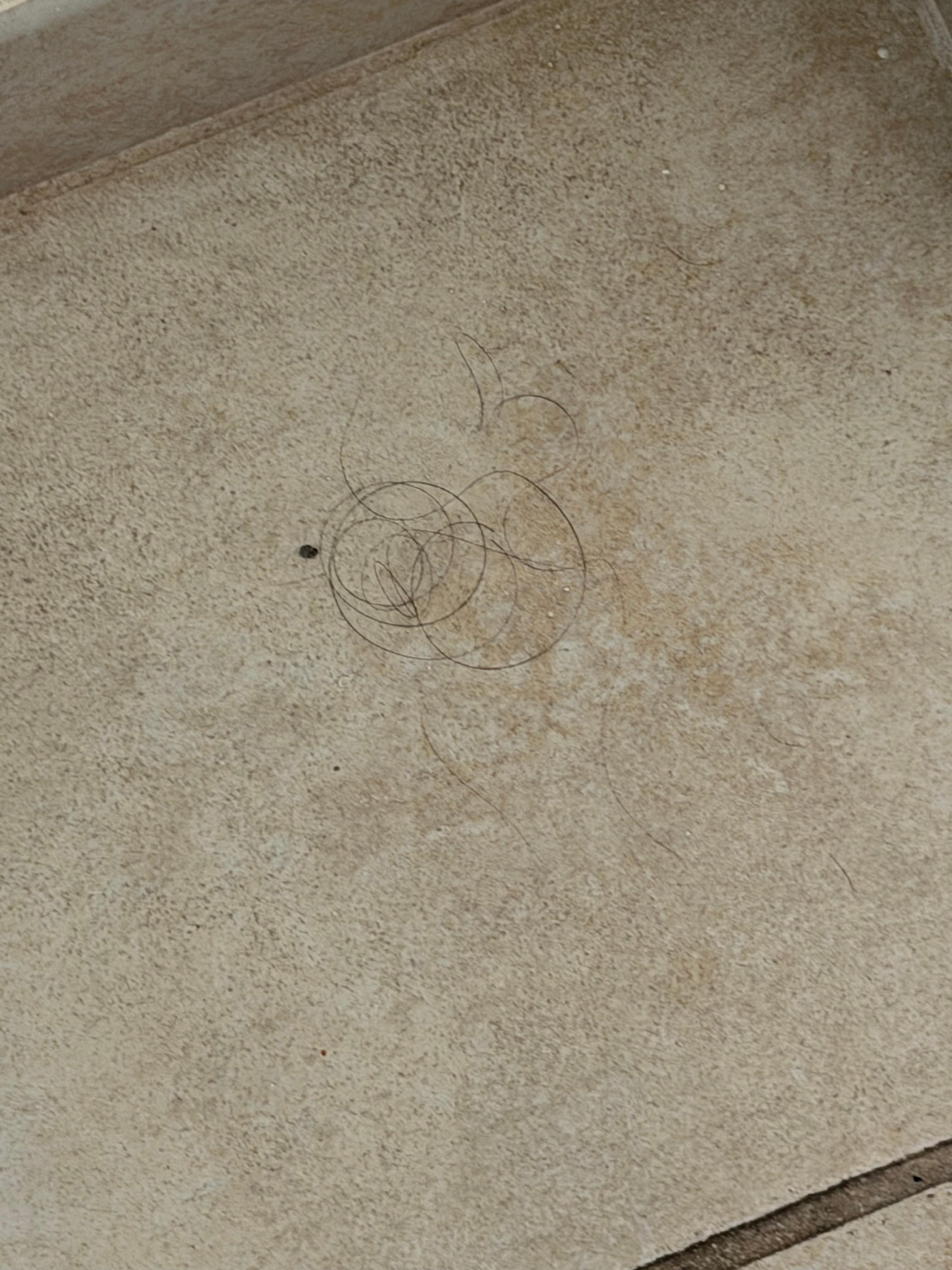 Hair on the bathroom floor