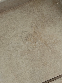 Hair on the bathroom floor