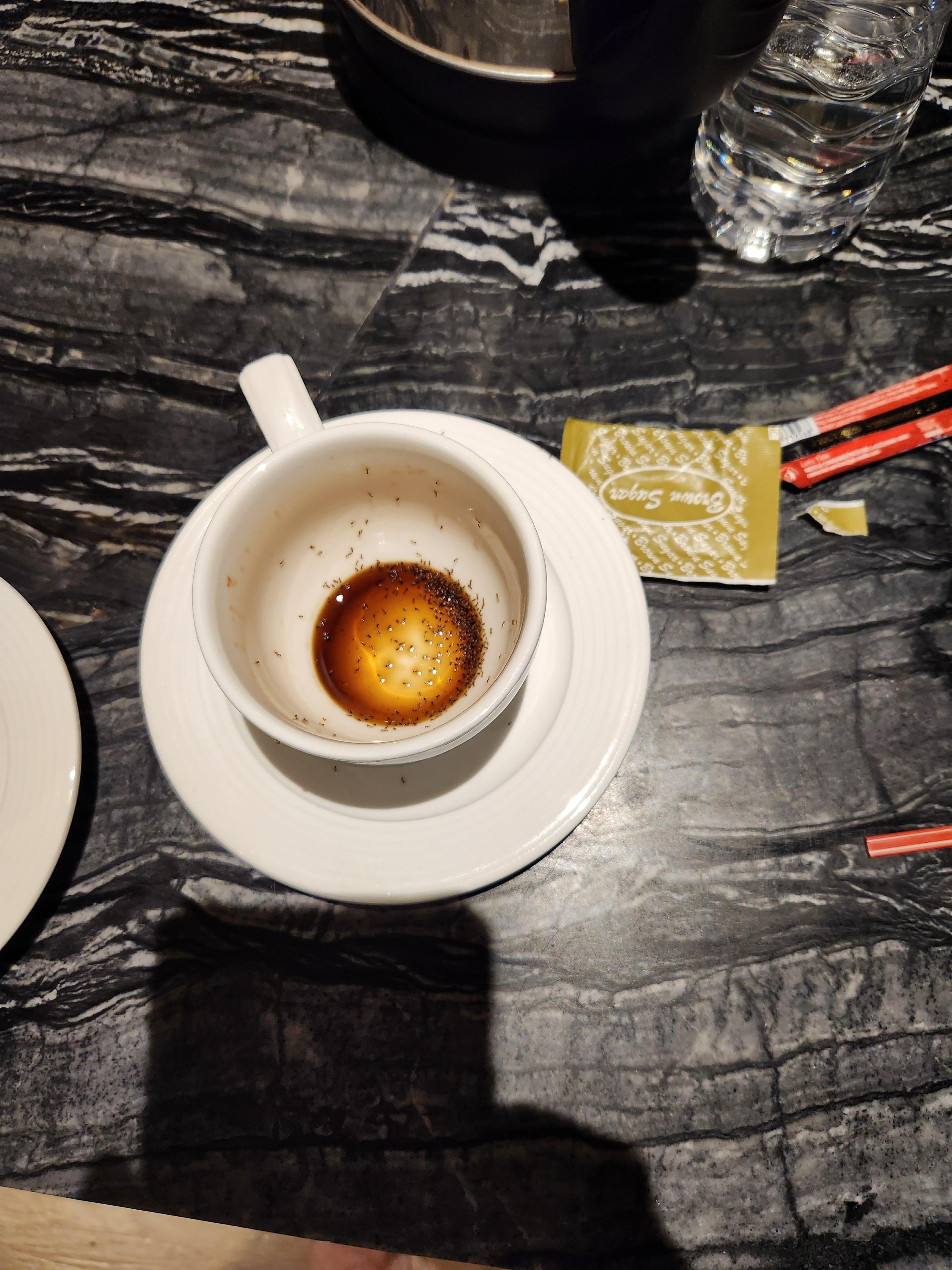 Ants in the coffee cup