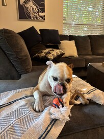 Super pet friendly, even bowls provided! Bring your own poop bags.