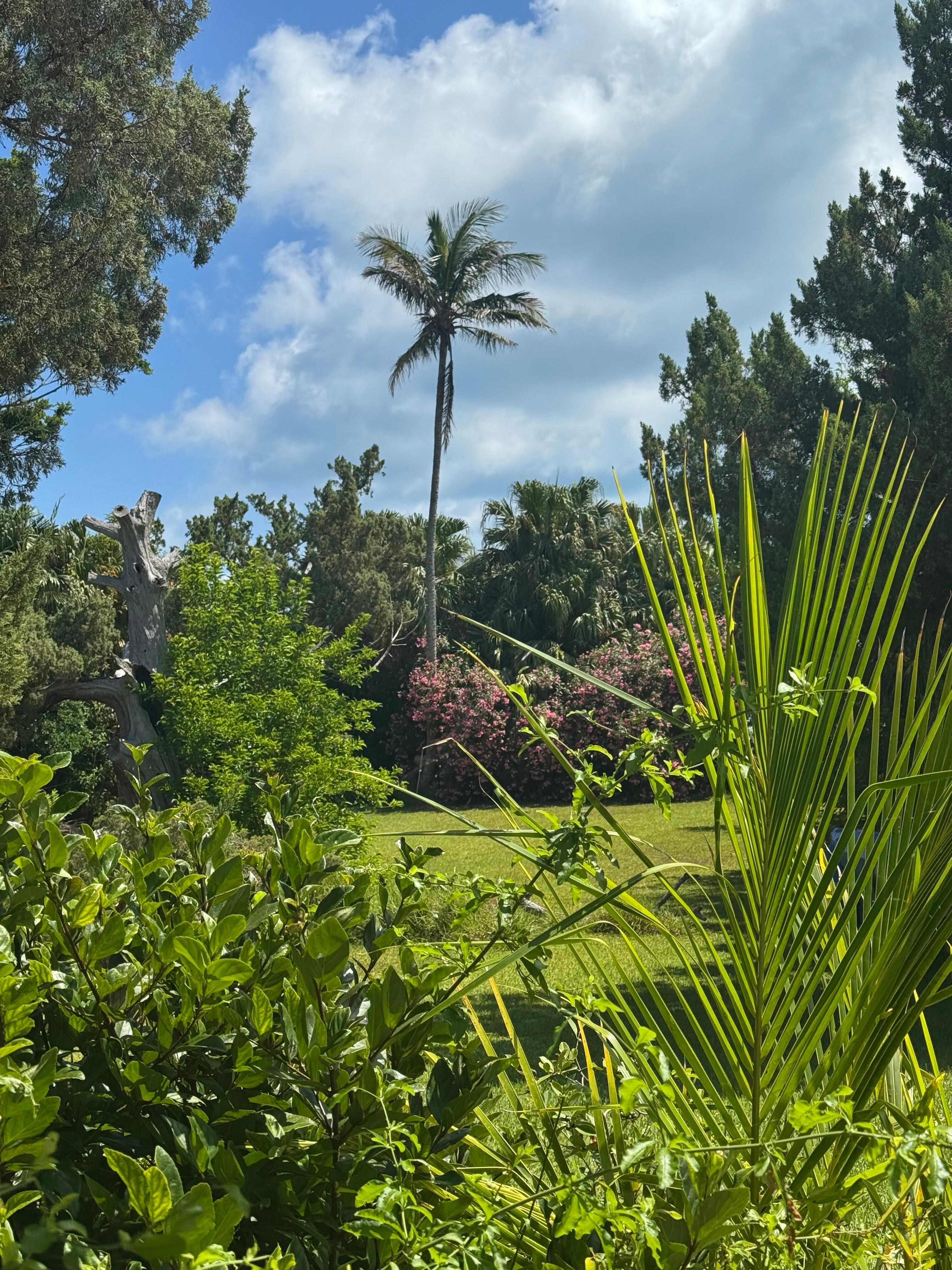 View of hosts’ property 