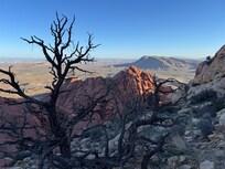 Red Rock Canyon - Calico Tanks
