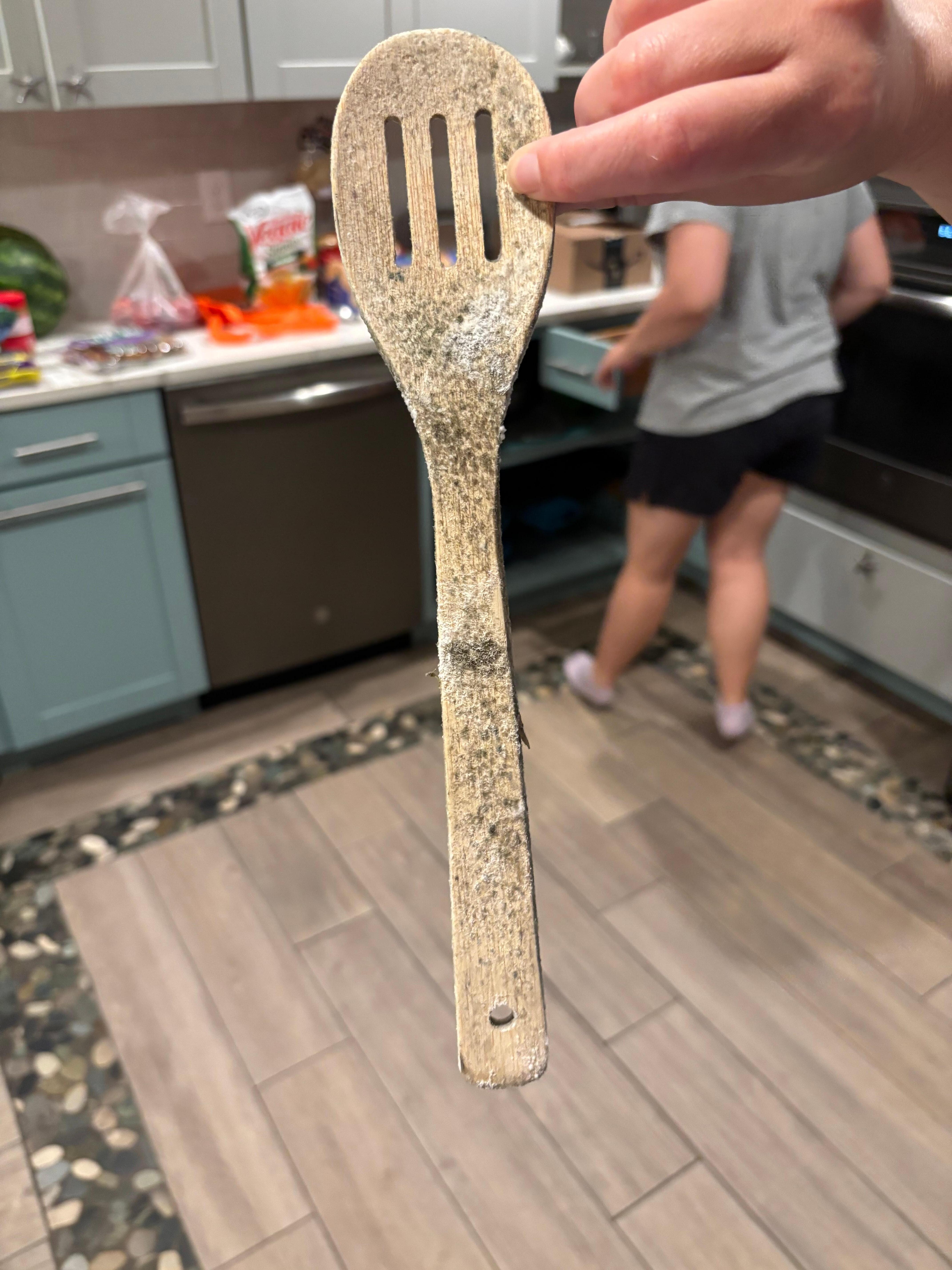 One of many moldy kitchen utensils