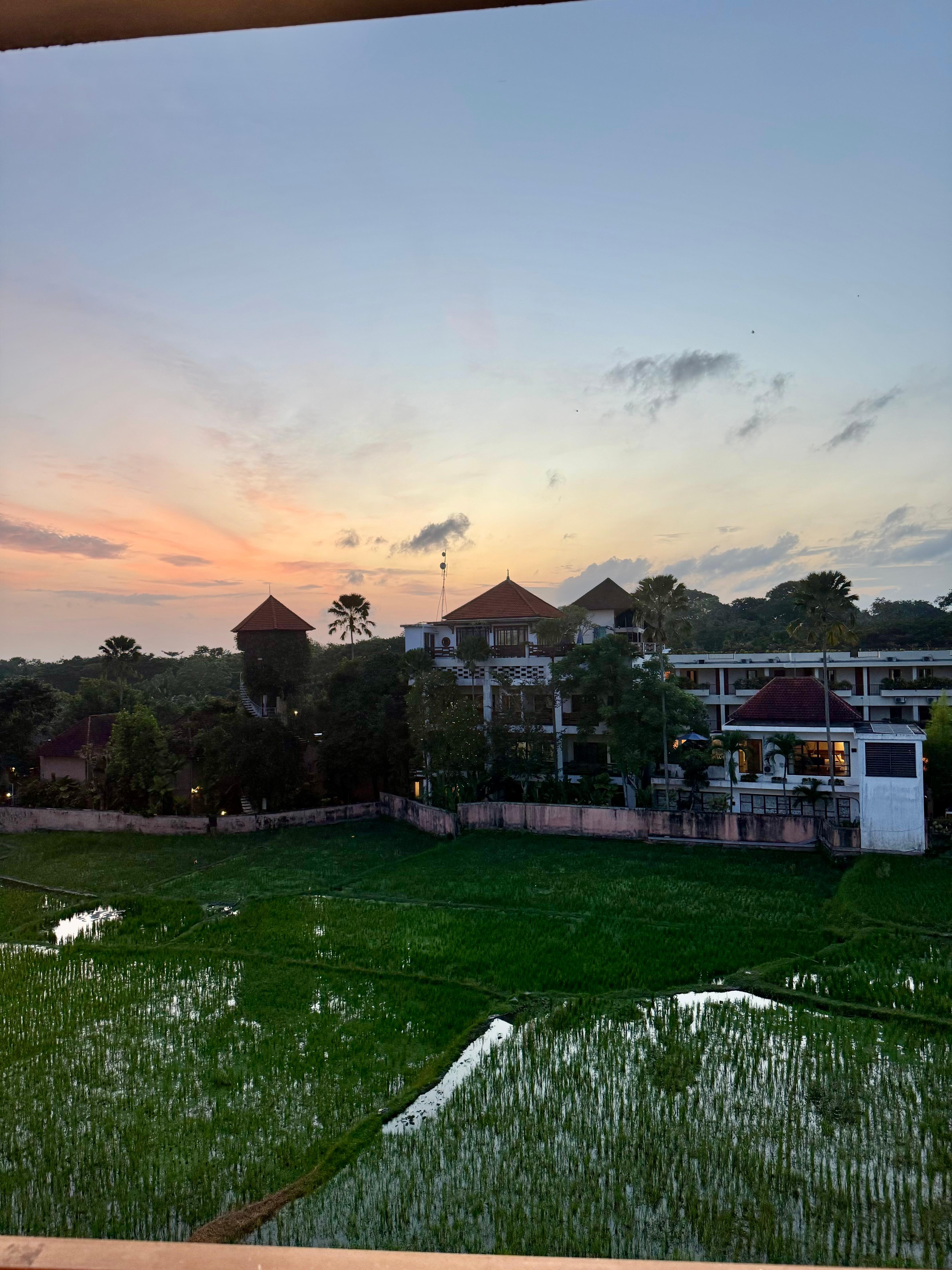 View behind the hotel