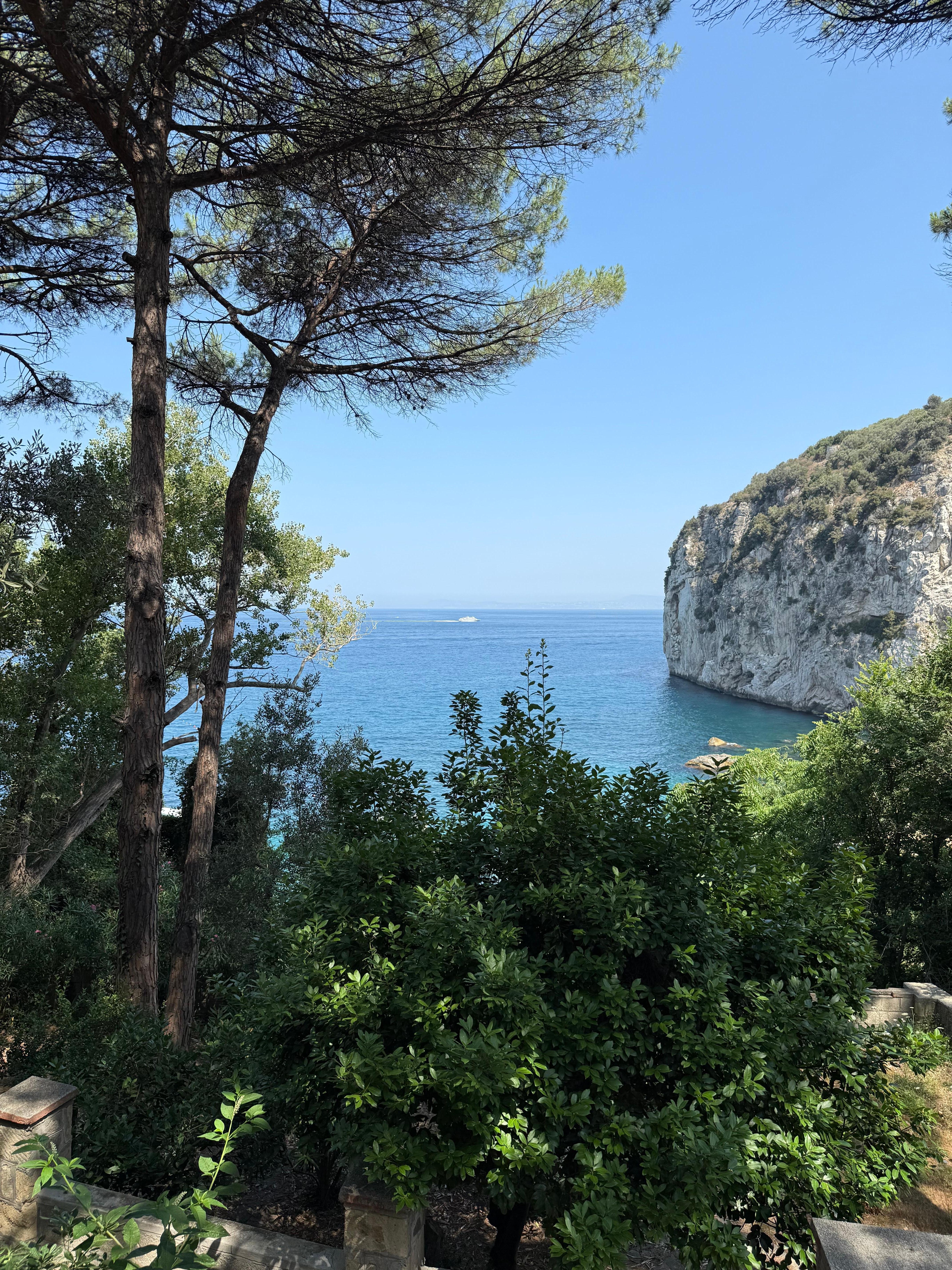 From a lower garden terrace