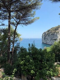 From a lower garden terrace