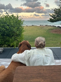 The backyard is not fenced but it would take an adventurous dog to try and escape.