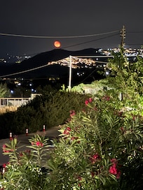 View from stay