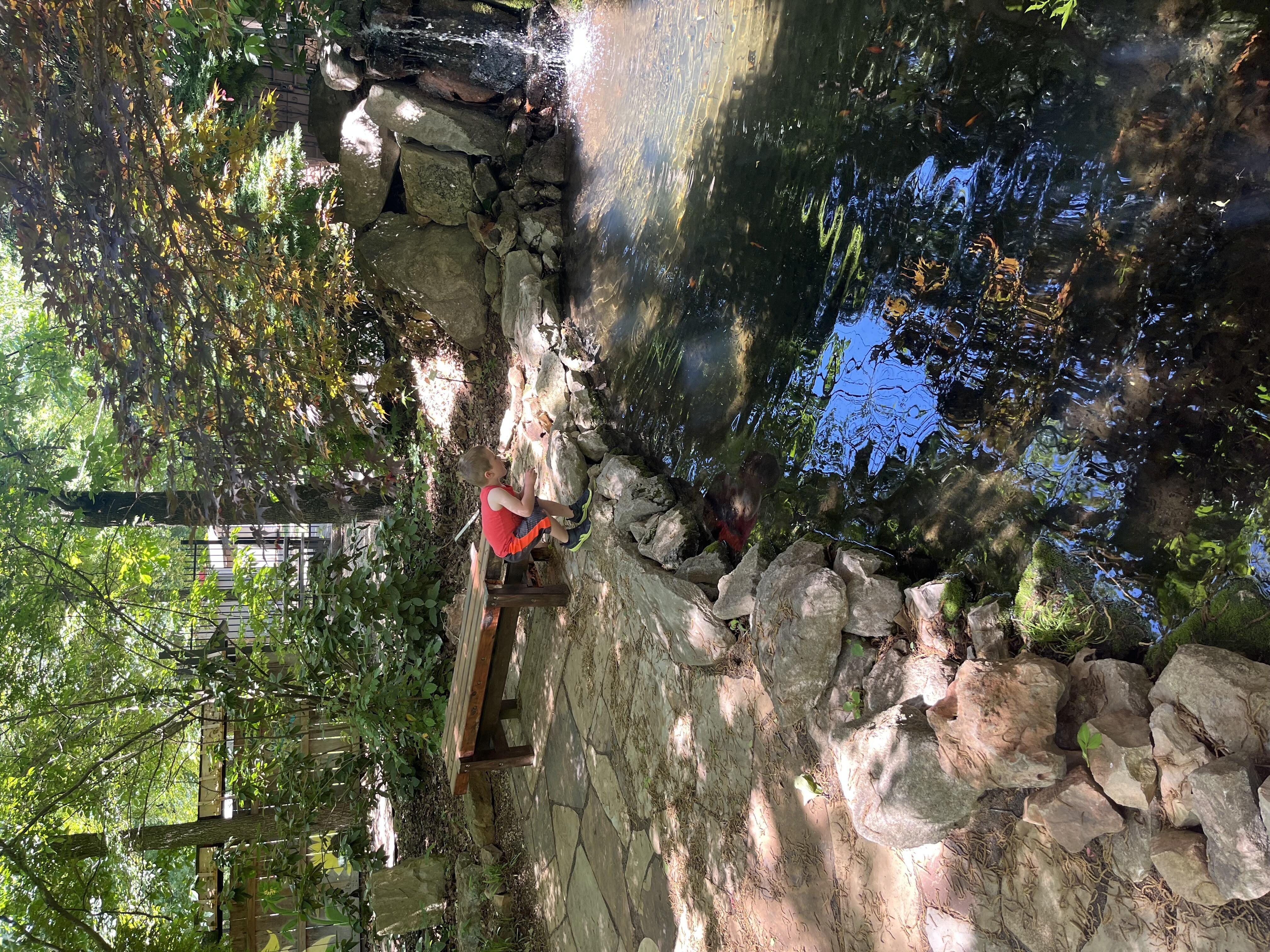 check out the fish????