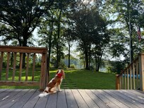 Deck with a Peaceful View of the Woods and Water
