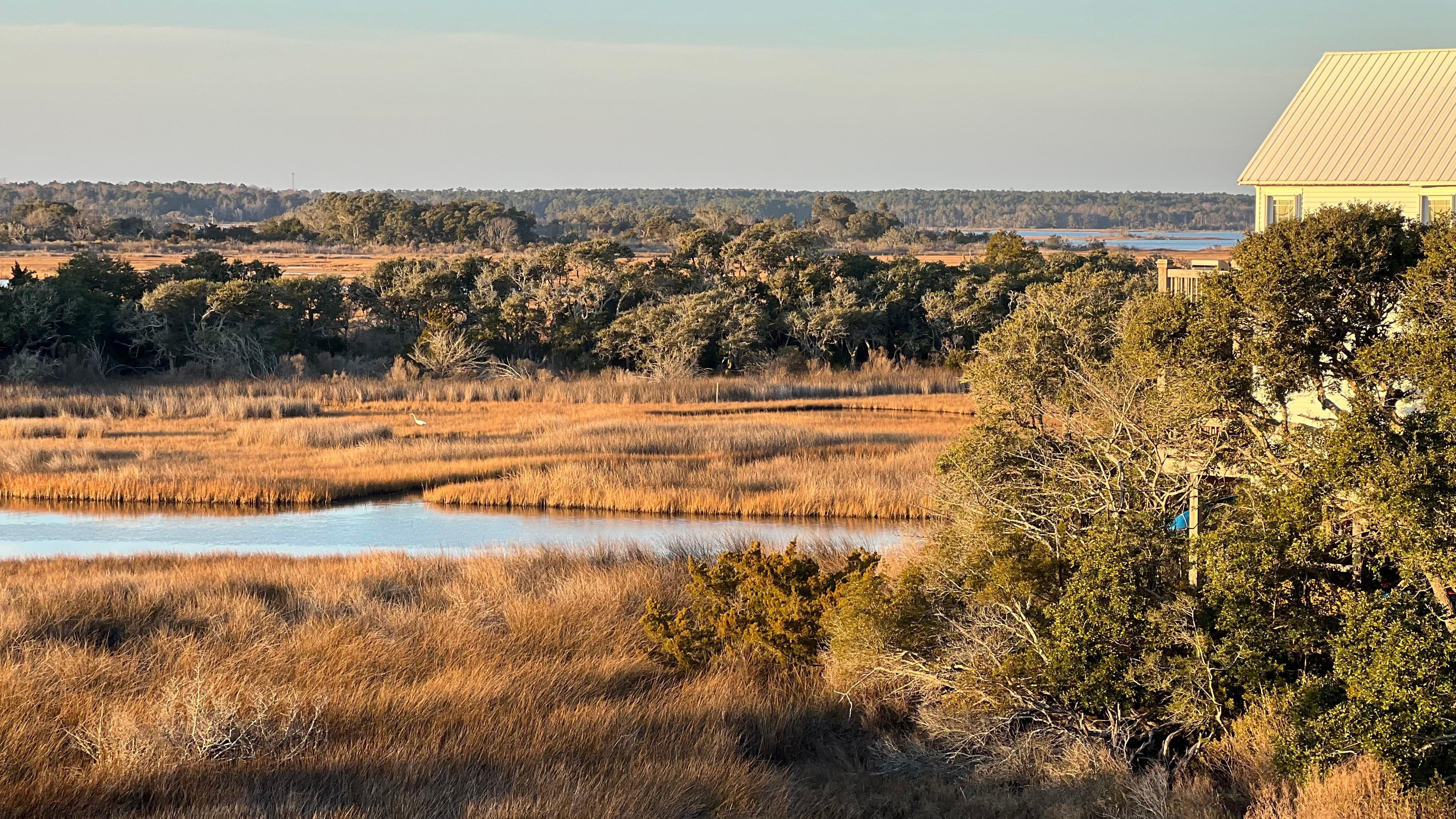 Afternoon light view from deck