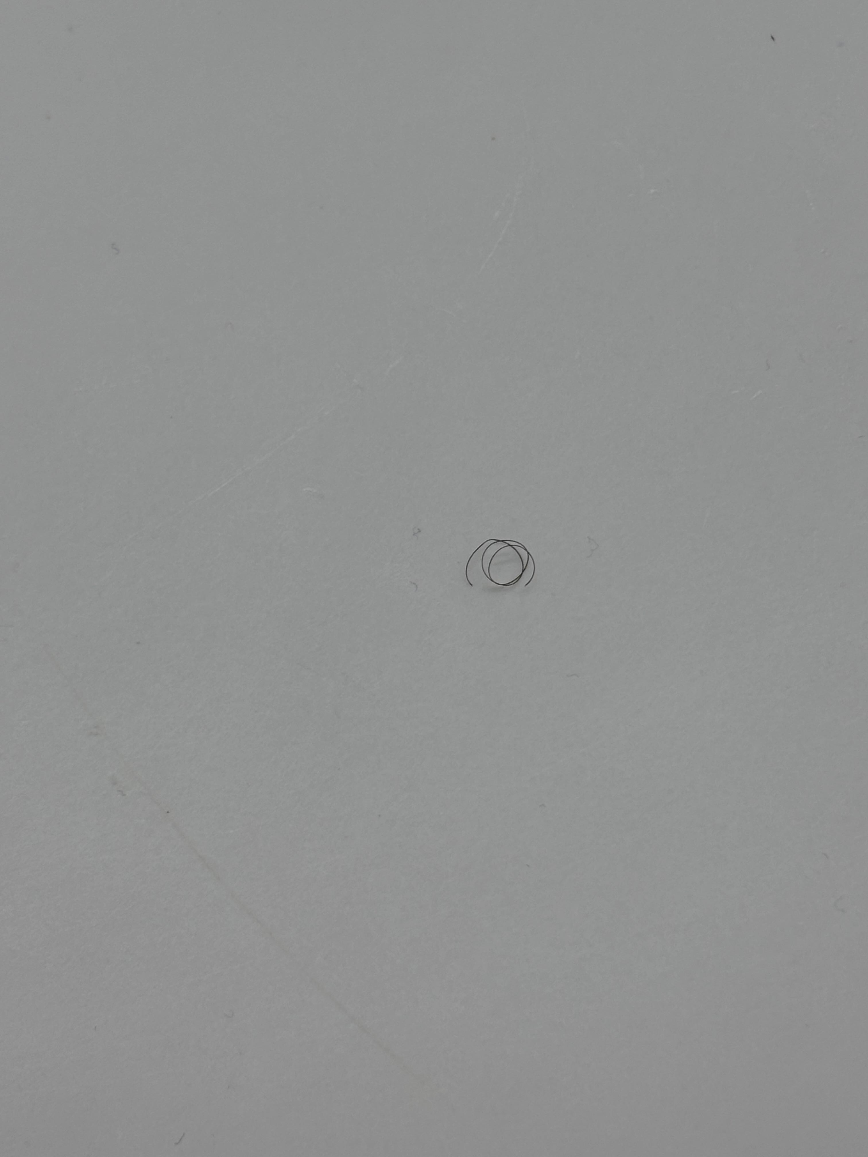 Pubic hair