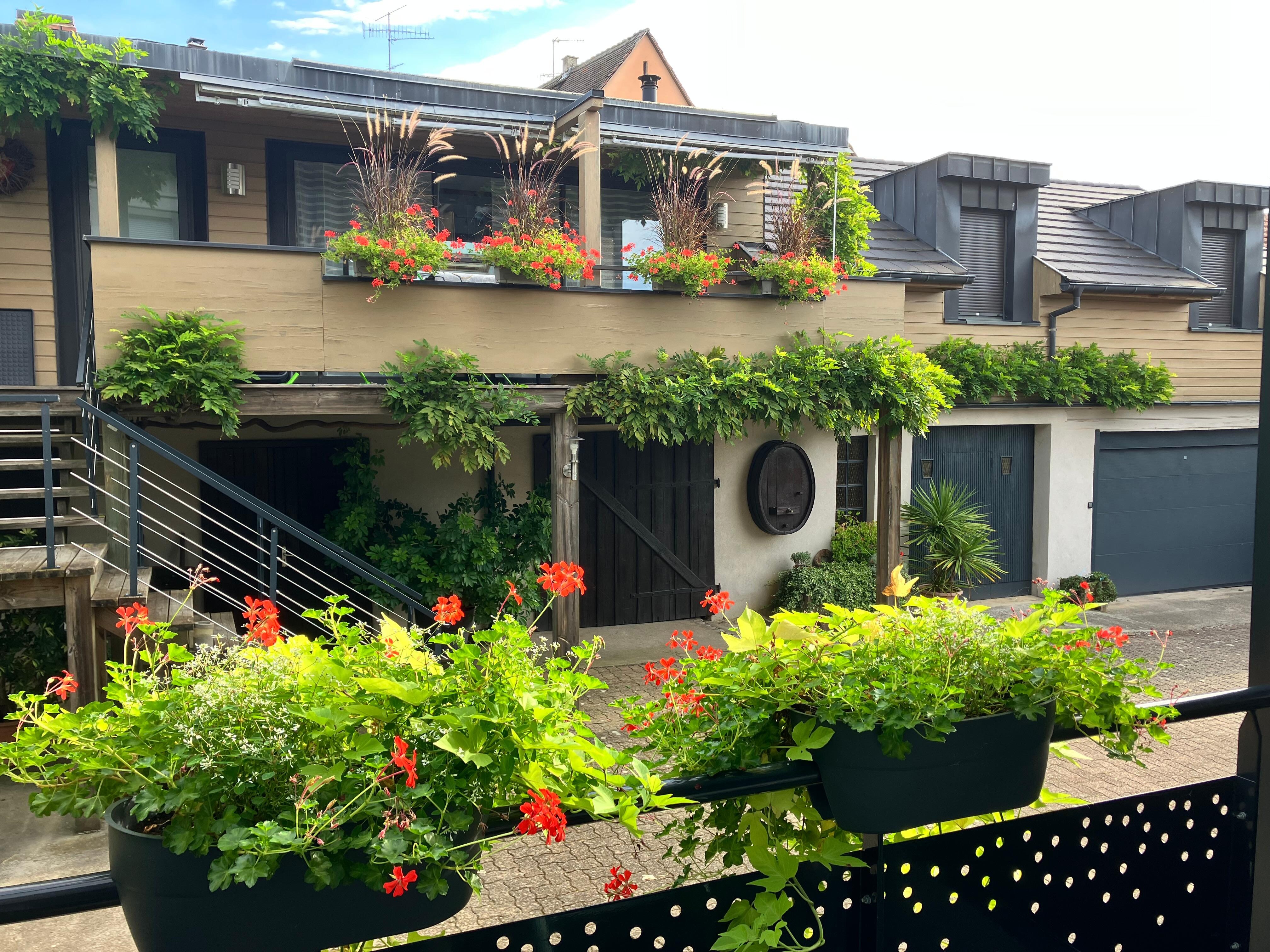 View from the back deck. Very quiet and private. 