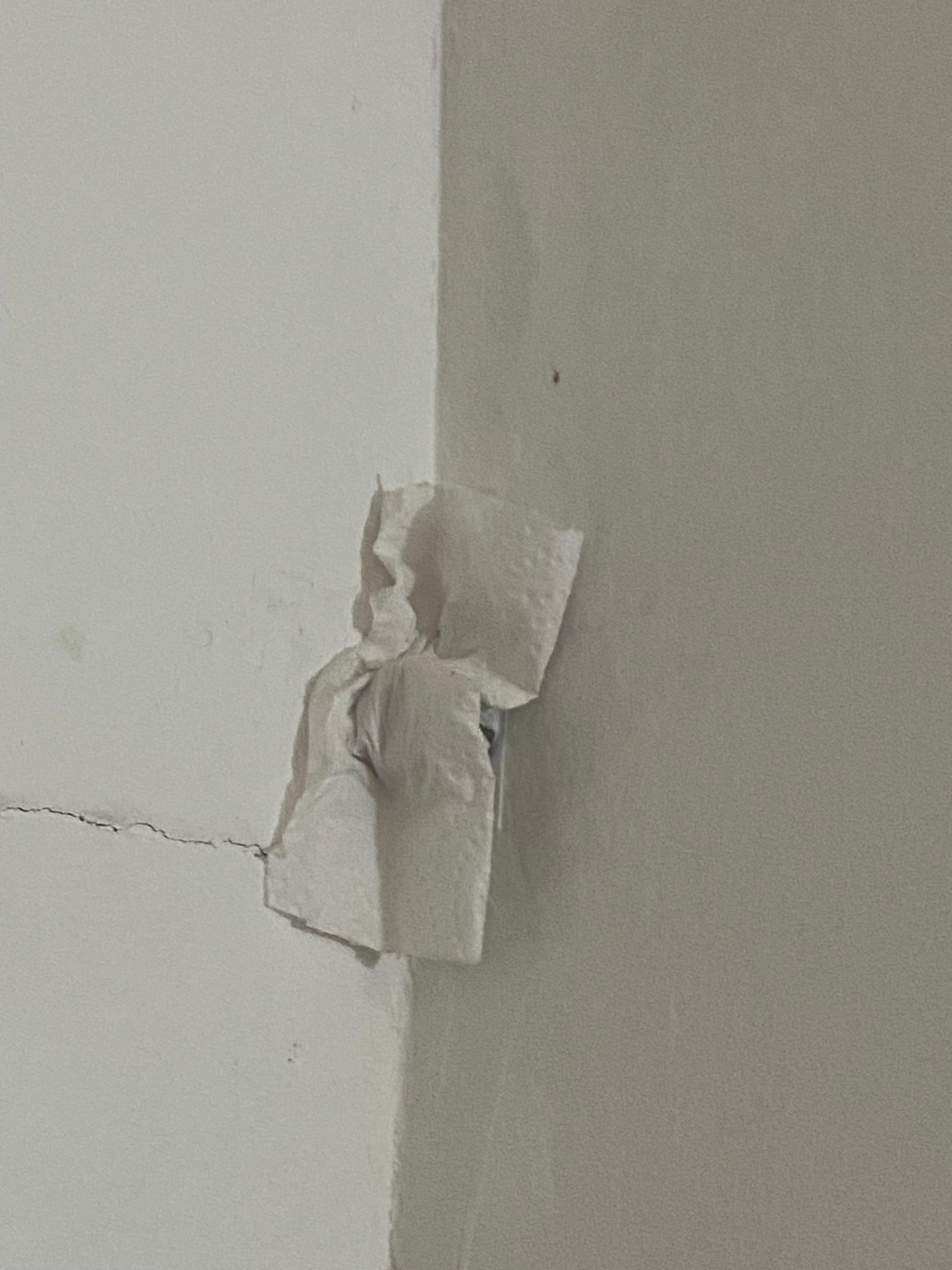 Pipes? What stuffed with paper