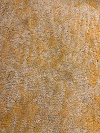 Nasty, stained carpet, soiled.
