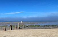 Netarts Bay beach, low tide. It was so much fun to see how the tides changed the beach every day.