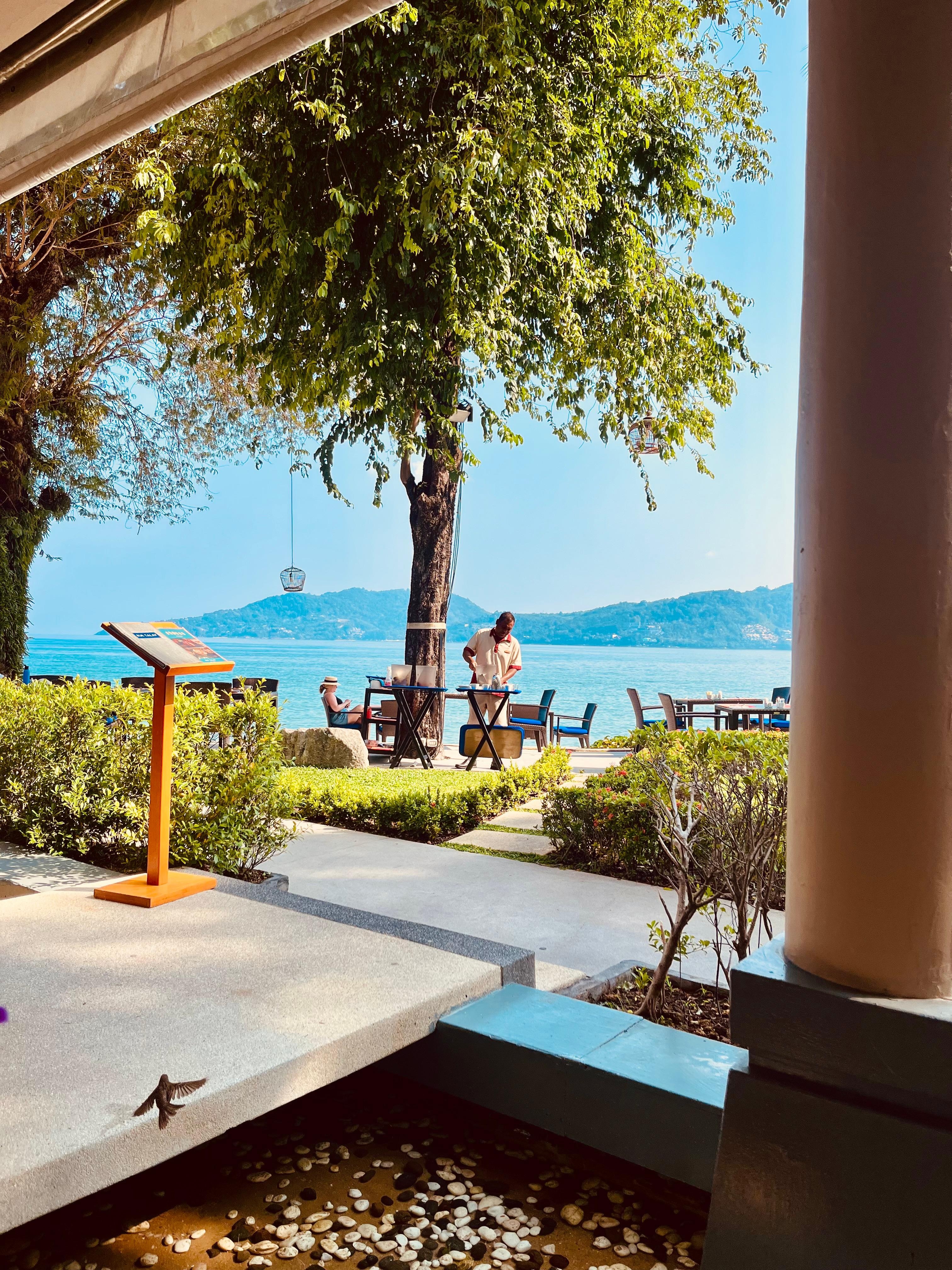 My view from my breakfast table