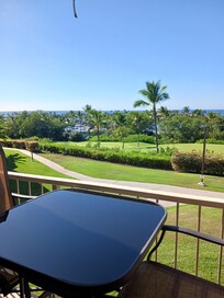 View from lanai