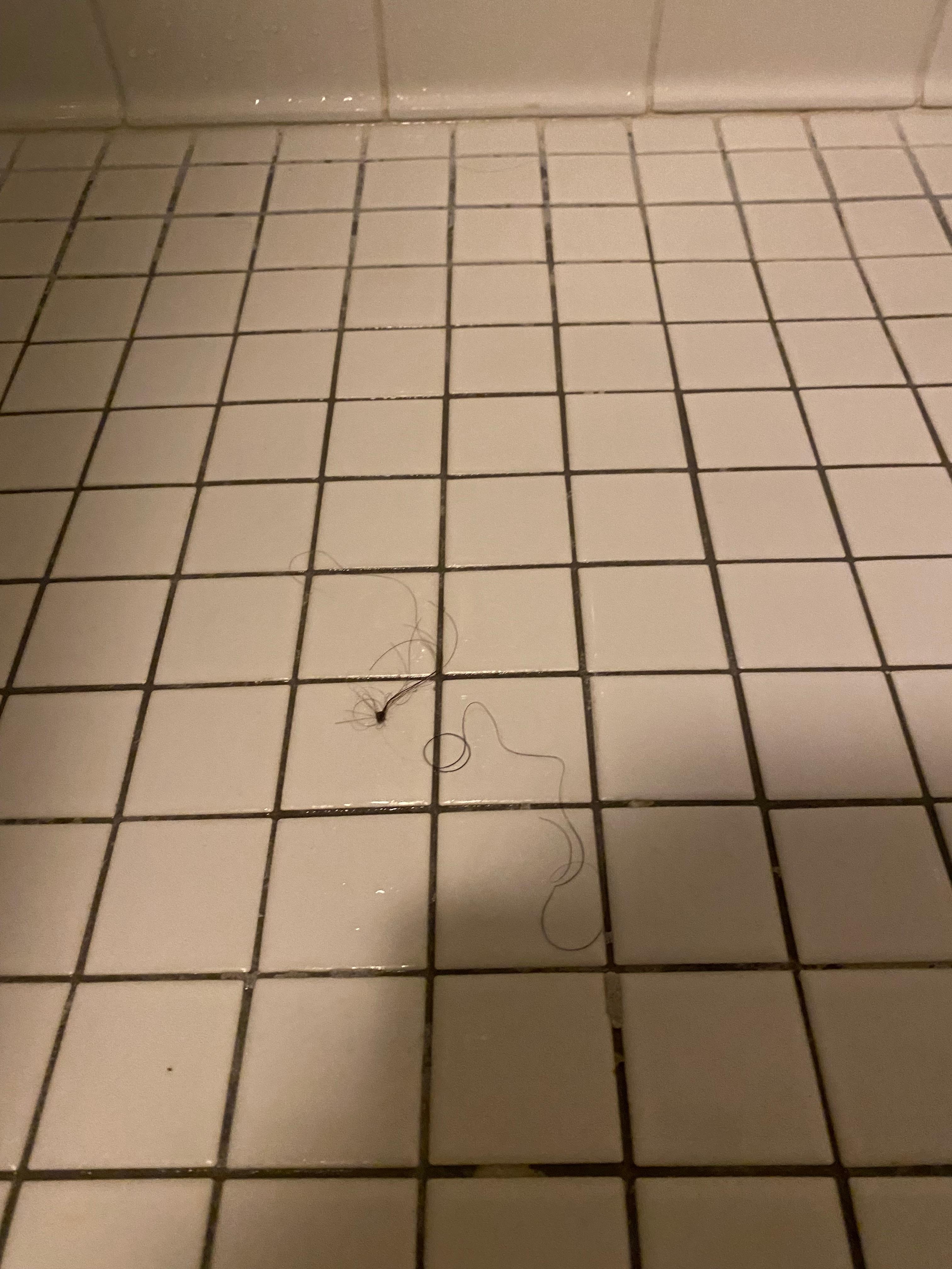 Hair in the shower