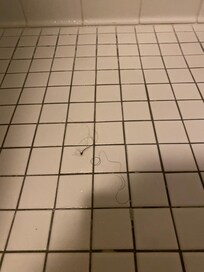 Hair in the shower