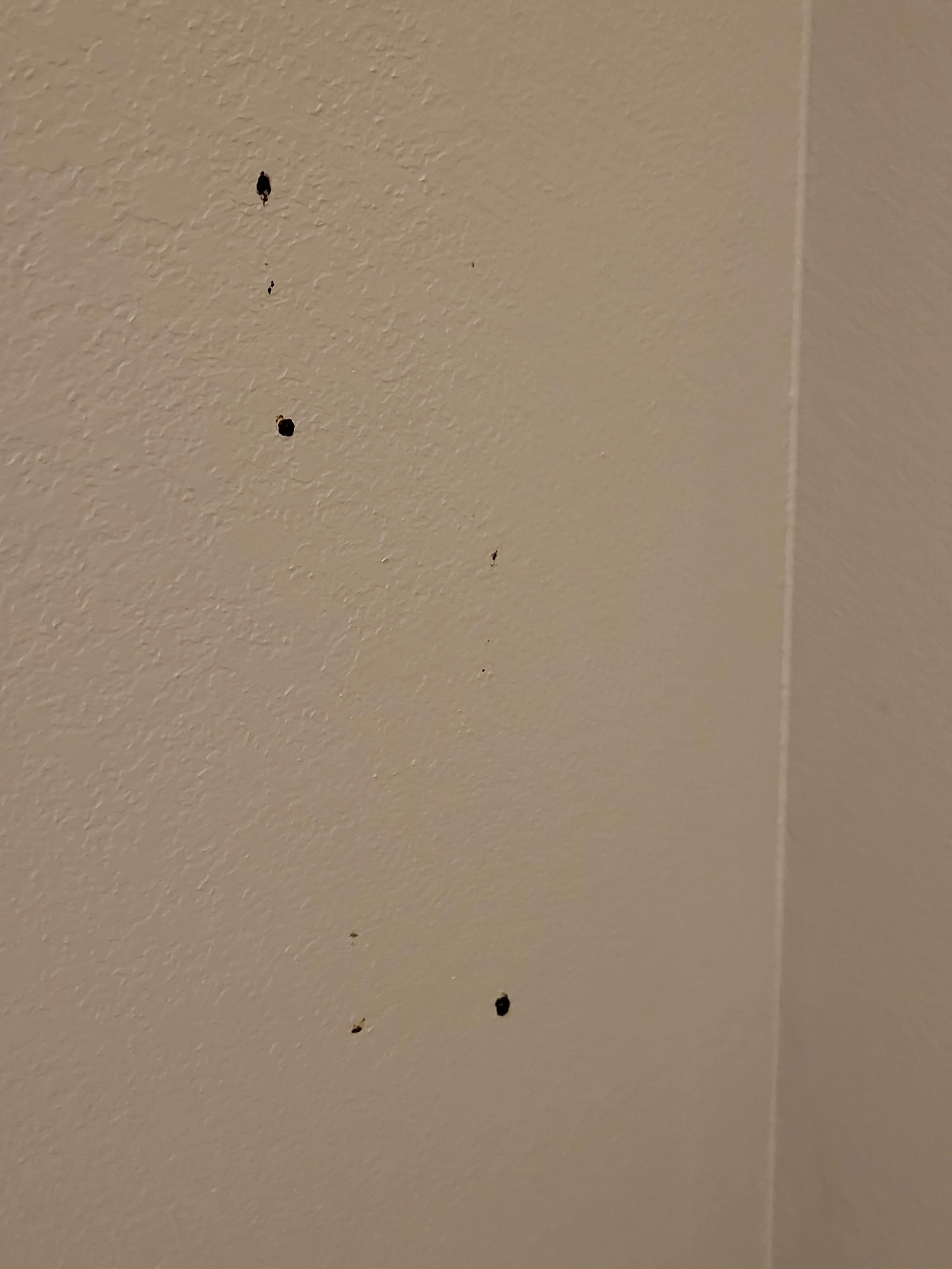 Something nasty on the wall, in bathroon, possibly blood