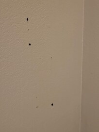 Something nasty on the wall, in bathroon, possibly blood