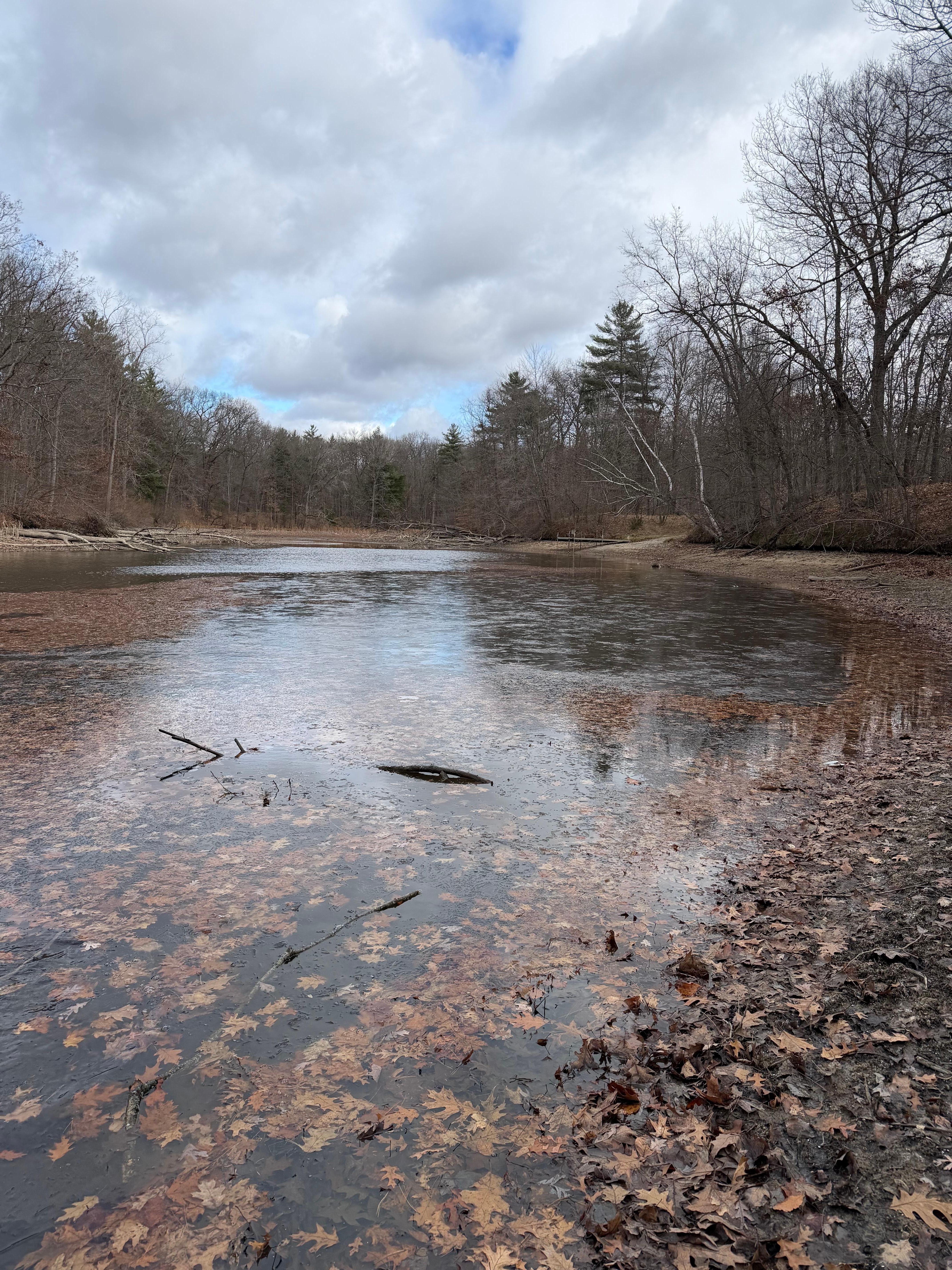 River behind the house. 