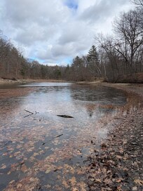 River behind the house.