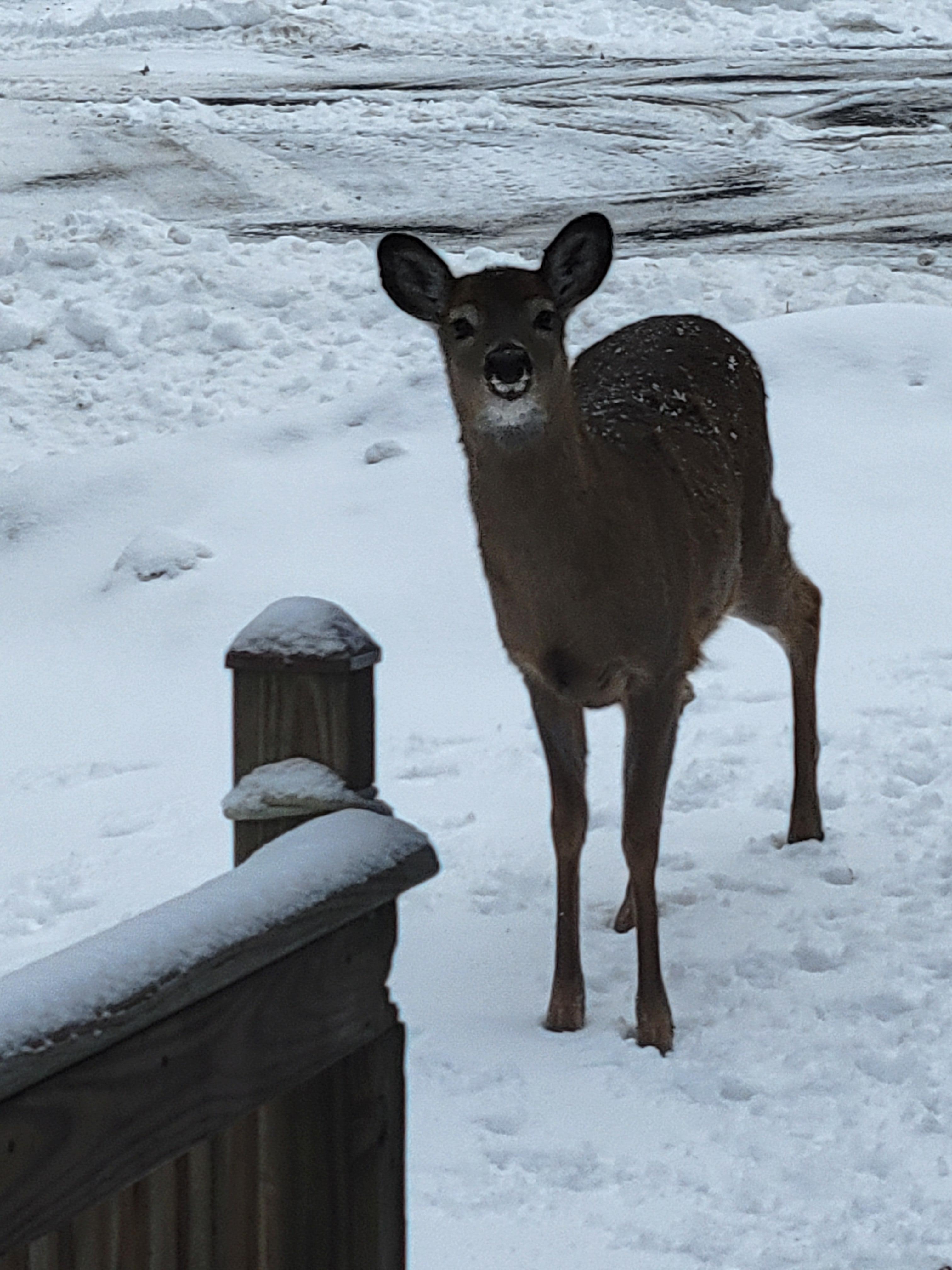 We had visitors every day.