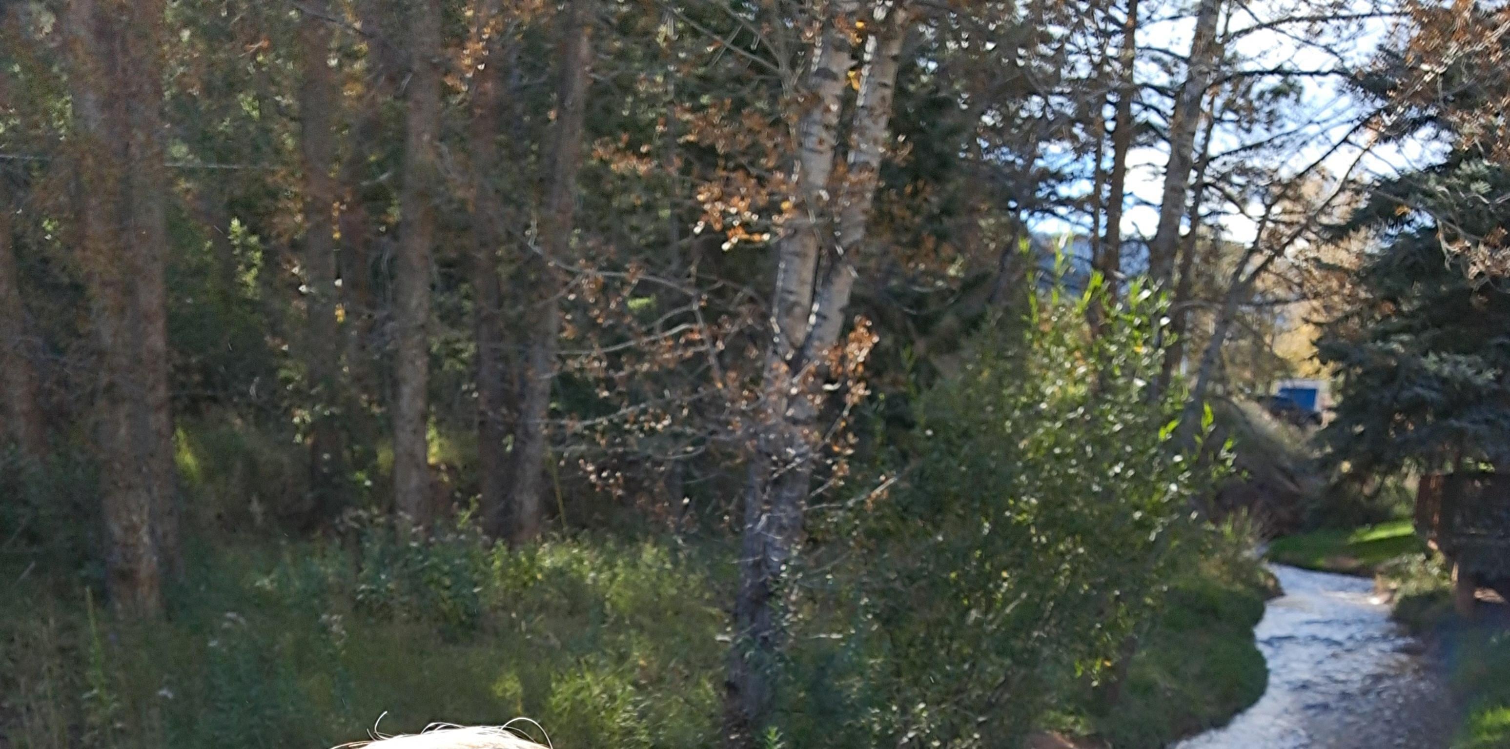 One of the views from the back deck.