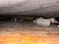 Dust trash dirty underwear and hair under the bed