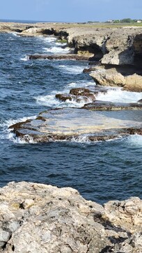 Animal flower cave and restaurant view !