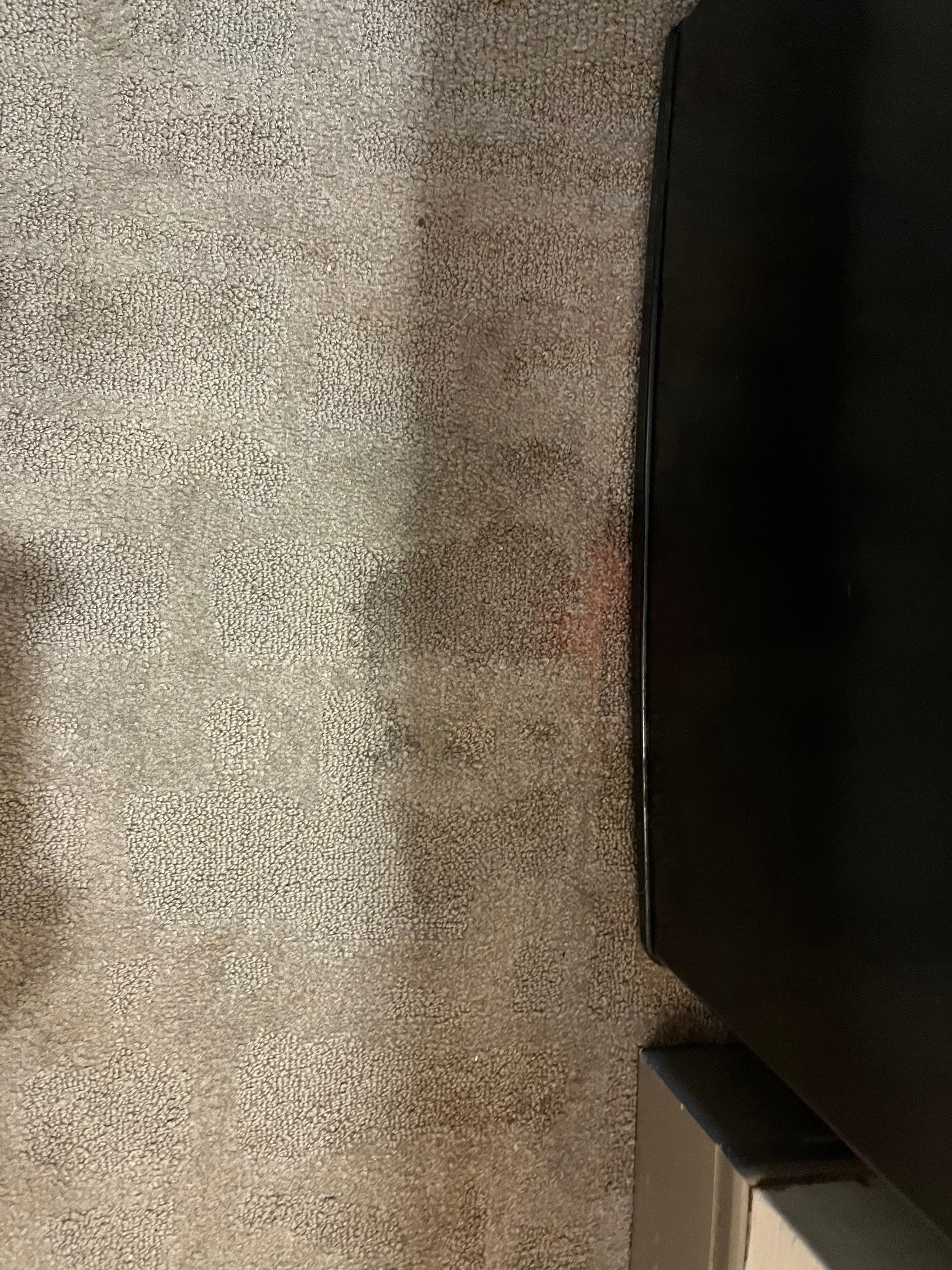 Stains in entry and in front of doorway. 